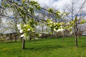 Ausflug mit dem Auto